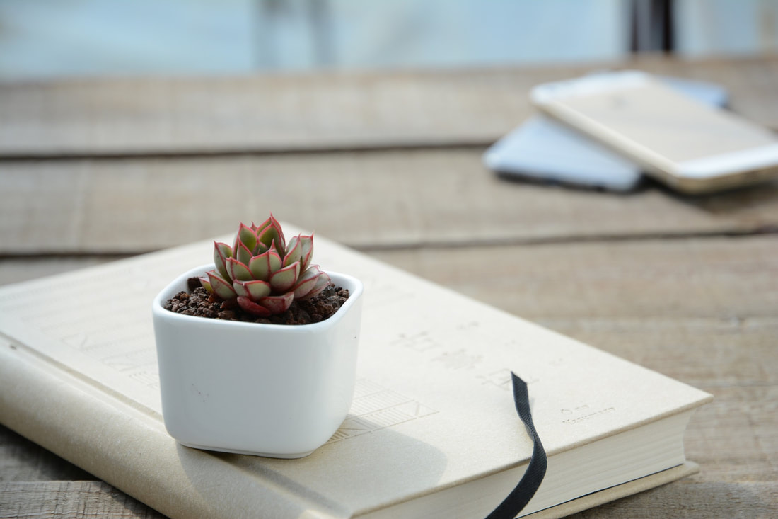 Small and pretty potted cactus on a notebook. 2 out of focus cell phones in the background